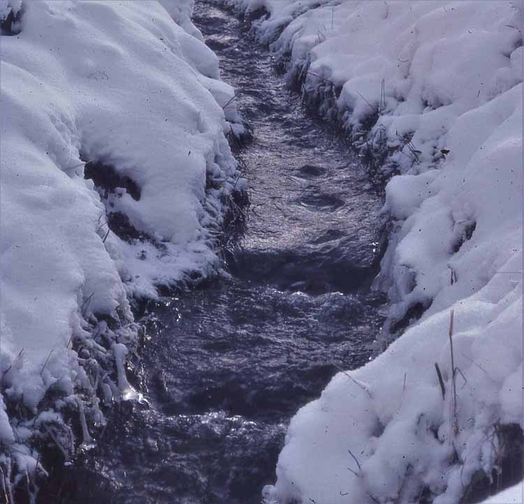 winter scene